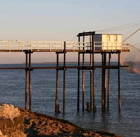 Coconning Proche De Fouras * Saint-Laurent-de-la-Prée